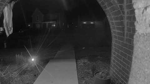 Porch Bird Panics Package Grabber