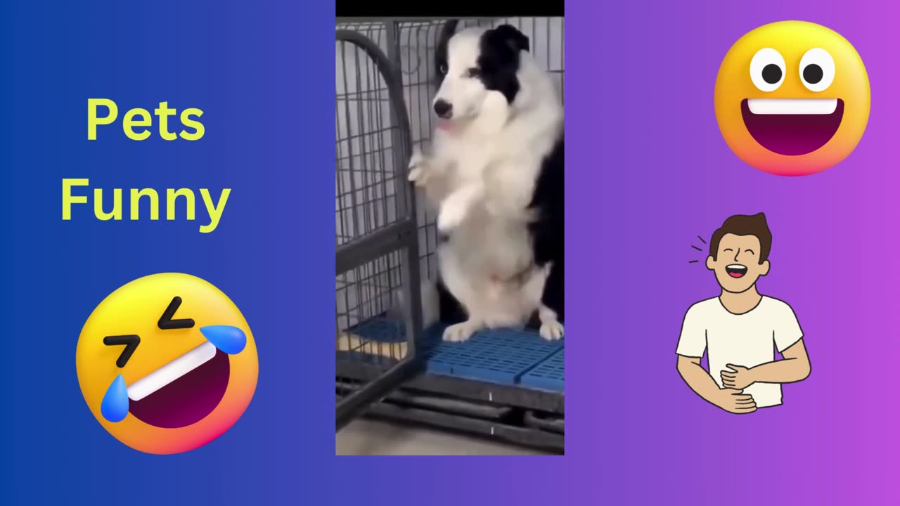 Hilarious Cats and Dogs Compilation: Guaranteed to Make You Laugh Part-3