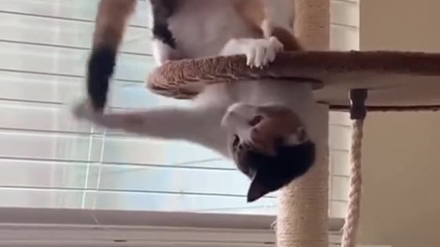 So confused
