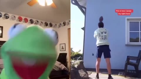 kermitontiktok FUNNIEST VIDEOS