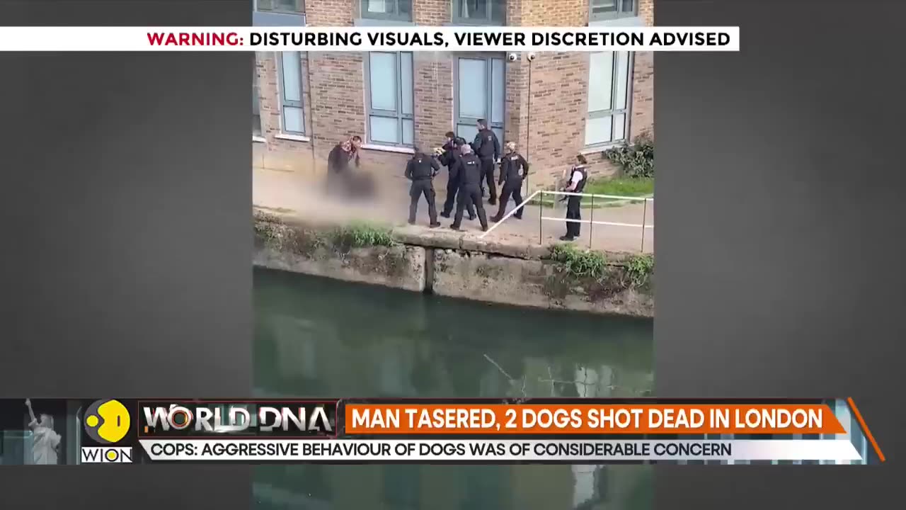 London: Police point guns and shoot two dogs dead in front of screaming public | Details