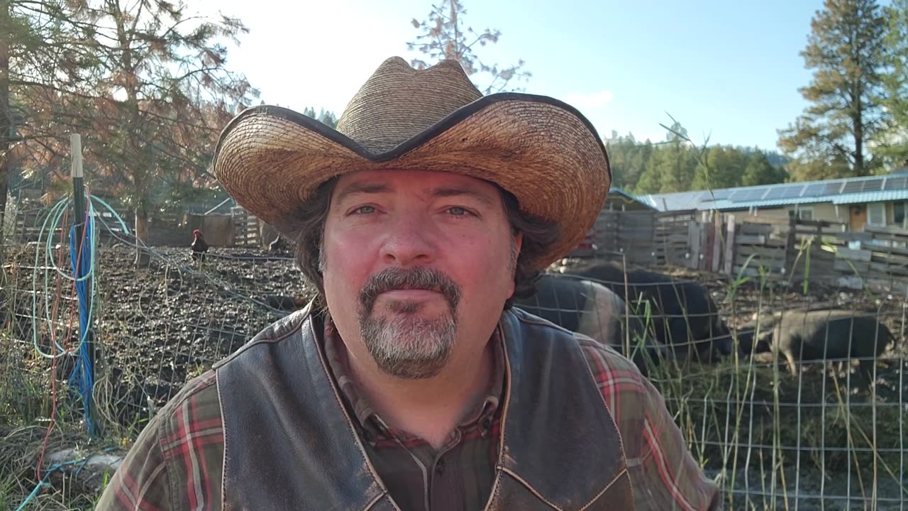 We need to go back to the wisdom of the past