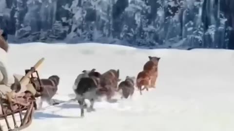 WHEN LEADER NOWS THE WAY