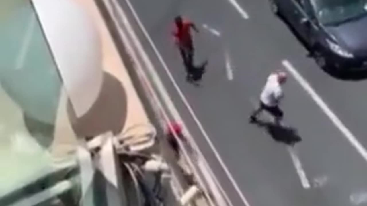 Italy: 'Monkey noise making' Coudenhove Kalergi importee is slapped by motorist.😁.