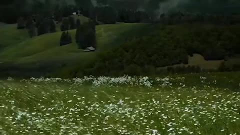 #NatureBeauty #ExploreOutdoors