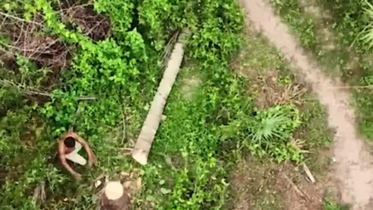 Beautiful House Building in forest