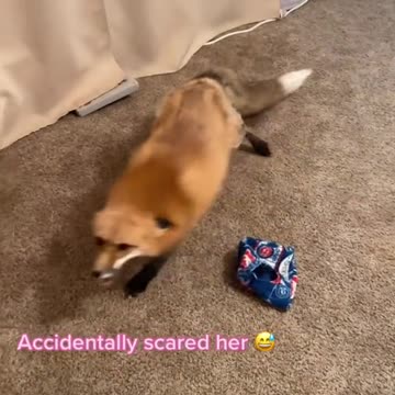 Should've made myself known while she was focused lol