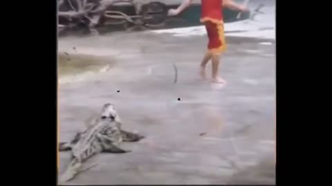 VIDEO KUMPULAN LUCU || spesial edisi viral menyambut 2024 || ngakak
