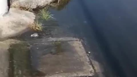 Aguas servidas en Bocala y Centro