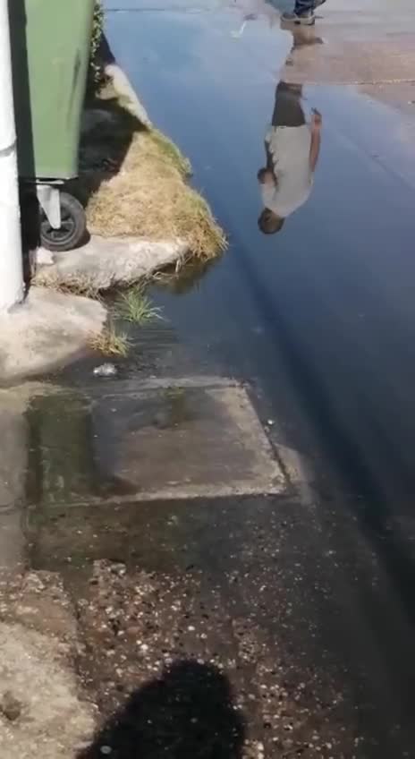 Aguas servidas en Bocala y Centro