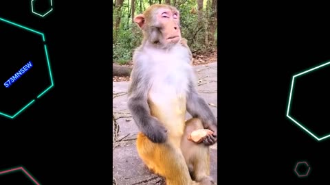 NEW BEST FUNNY FAILS MOMENTS VIDEOS 2023 😂 FUNNIEST • MEMES • COMEDY 🌍