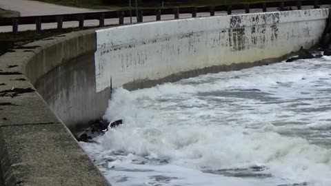 High Tide