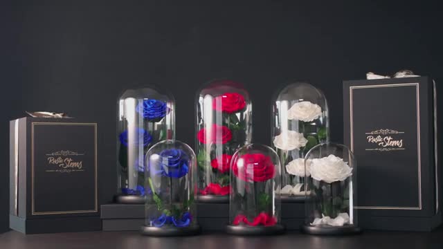 57_FBA Product Video Rose Dome