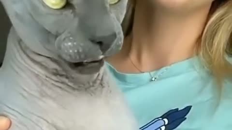 Mr. Evil