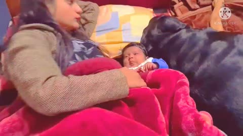 My dog wants baby back| funniest dog video's| best dog for home