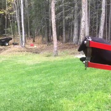 New sling shot high power