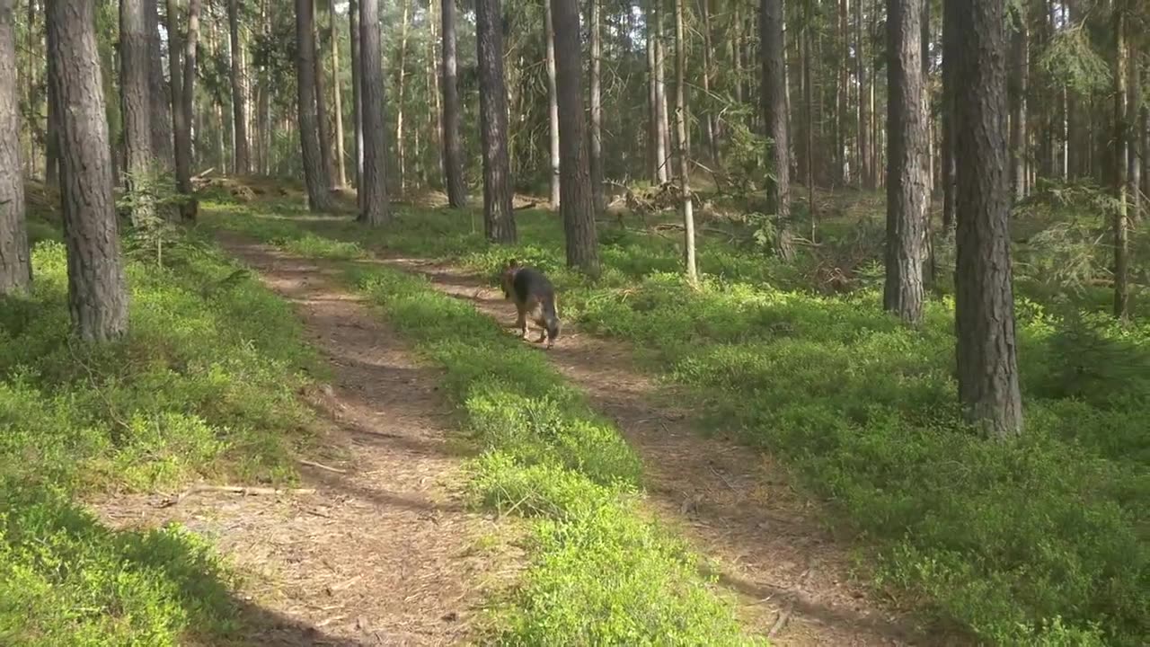 8- Láska, vztahy a manželství..Jak na to? Světsky nebo biblicky? Rozdíl je velikej.