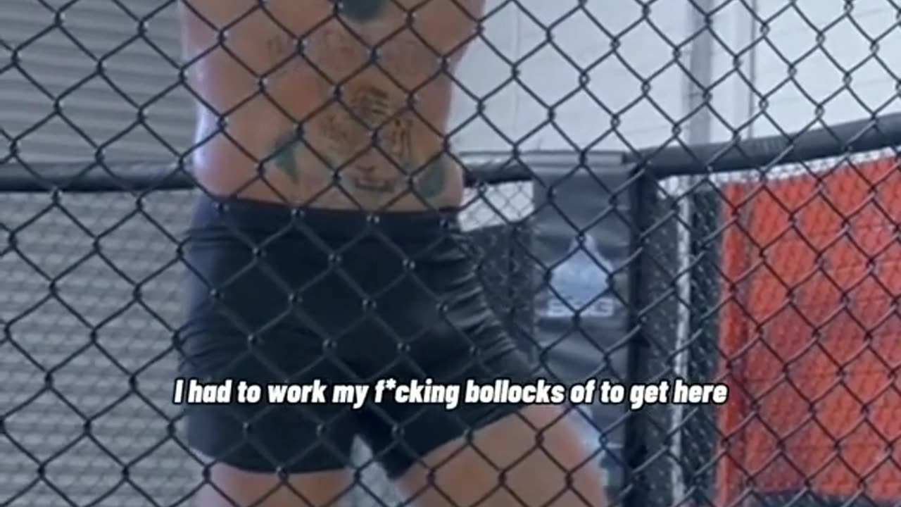 why conor mcgregor is so successful