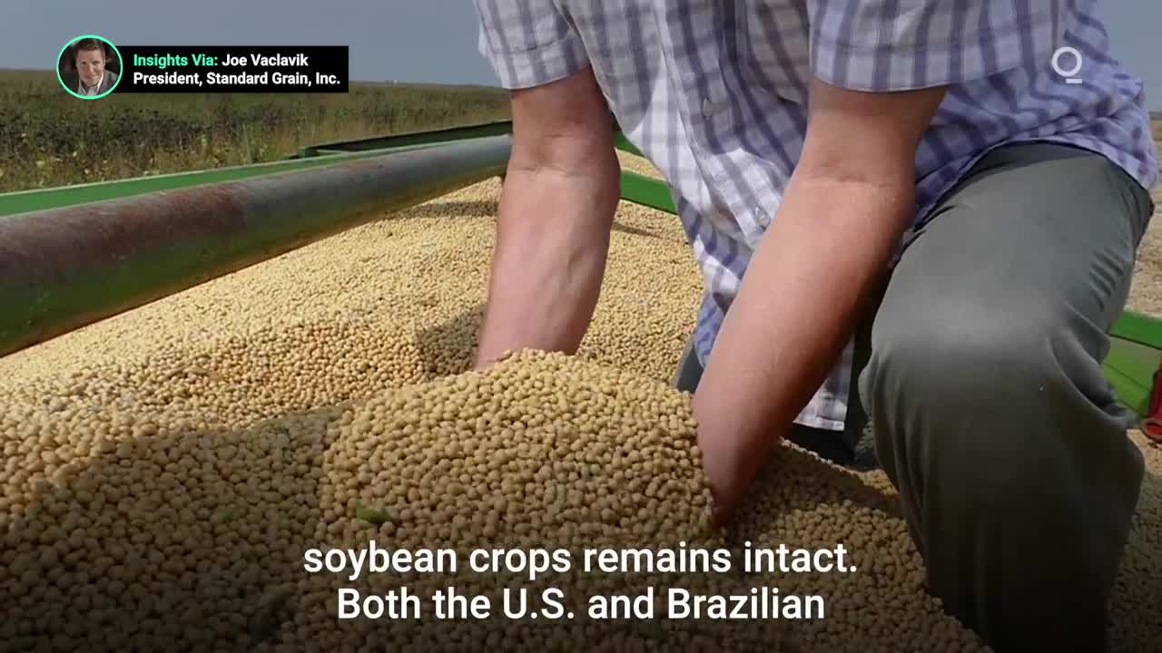Brazil Set for Record Corn and Soybean Crops