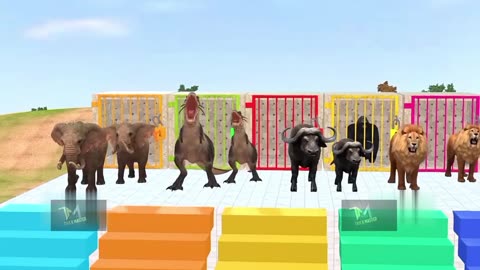 paint animals, fountain crossing, anima, animal game