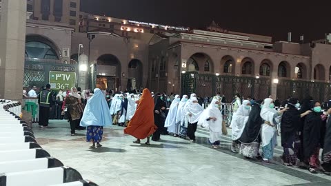 pilgrims entering the raudhah of the prophet