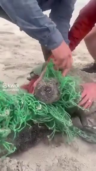 Afinal de contas, tem mais gente boa ou má no mundo?