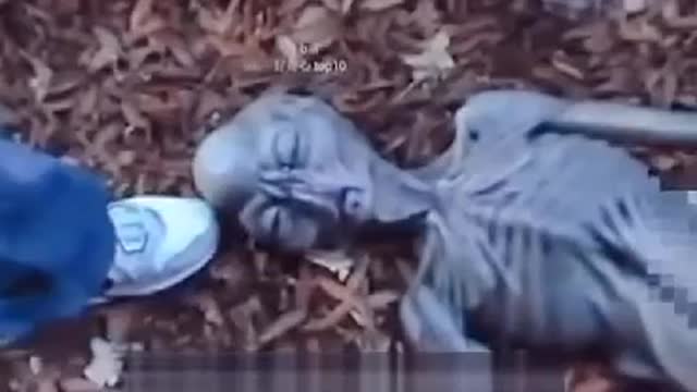 ALIEN AND FOUND DEAD IN A FOREST WATCH THE VIDEO AND SHARE