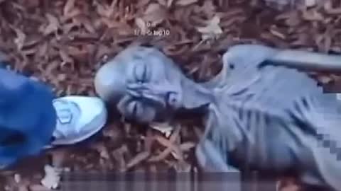 ALIEN AND FOUND DEAD IN A FOREST WATCH THE VIDEO AND SHARE