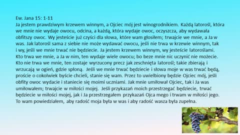 Trwać w Jezusie Chrystusie