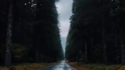 This kind of environmental atmosphere is a kind of enjoyment.