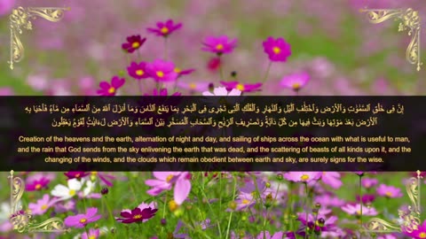 Quranic verses, مقتطفات قرانية, Beautiful Quran, Viral, تلاوة جميلة, القران الكريم, عبد الباسط ,