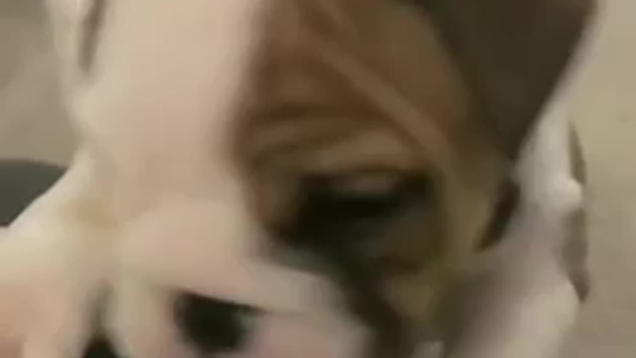 Test post- Rumble is acting weird… no sound sometimes