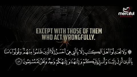 The Spider (Quran) صورة العنكبوت
