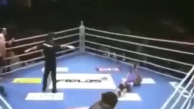 Not one of them can fight