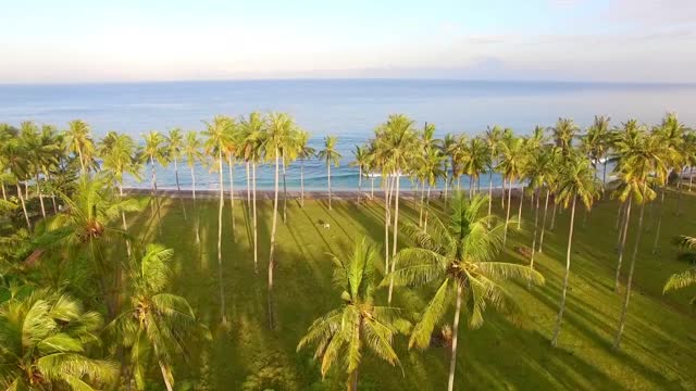 A Beautiful Natural Views Of Ocean
