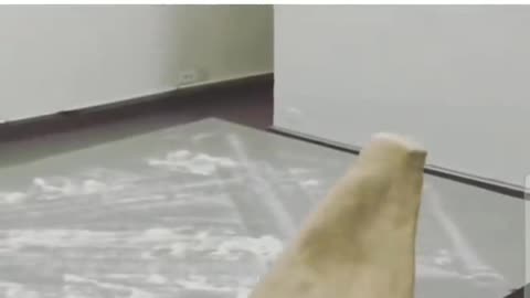 New Vacuum prototype for the White House! HAHAHA