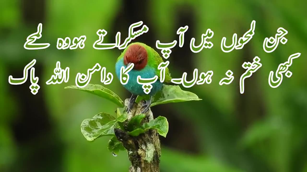 DUAAA