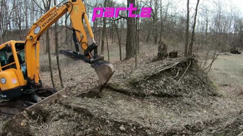 Moving an antique truck part2