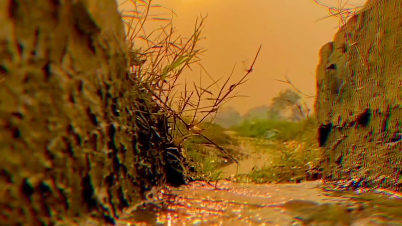 Scenario of the life | Some Creative Video