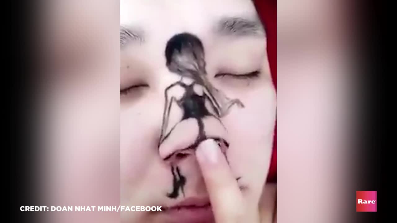 The Origin of Nose Twerking | Rare Humor