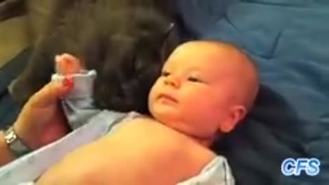 Funny clips video 2023 cute cats pets animals funny video