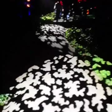 Light leading the way. Year 2, Part 14