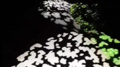 Light leading the way. Year 2, Part 14