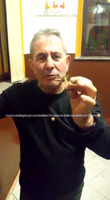 Ecco come si mangia la cavalletta !