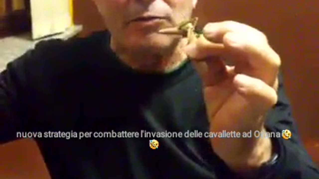 Ecco come si mangia la cavalletta !