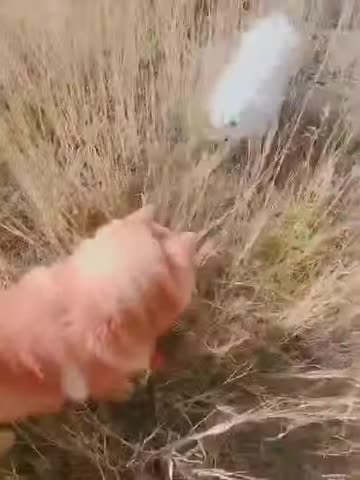 20180926文贵先生视频：Snow 搞几个娘儿们算啥腐败啊