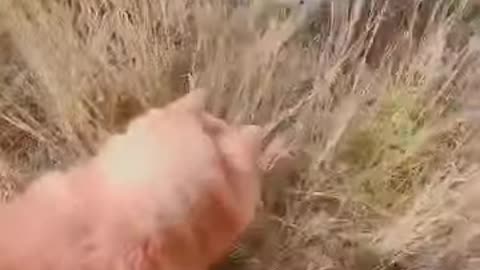 20180926文贵先生视频：Snow 搞几个娘儿们算啥腐败啊