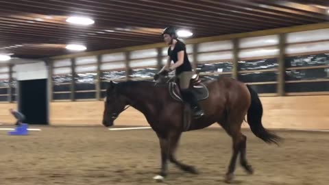 My Riding Progress in 20 Lessons! - Learning to canter, jump & falling out of the saddle