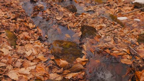 Peaceful Spring Moments in the Berkshire Mountains-17