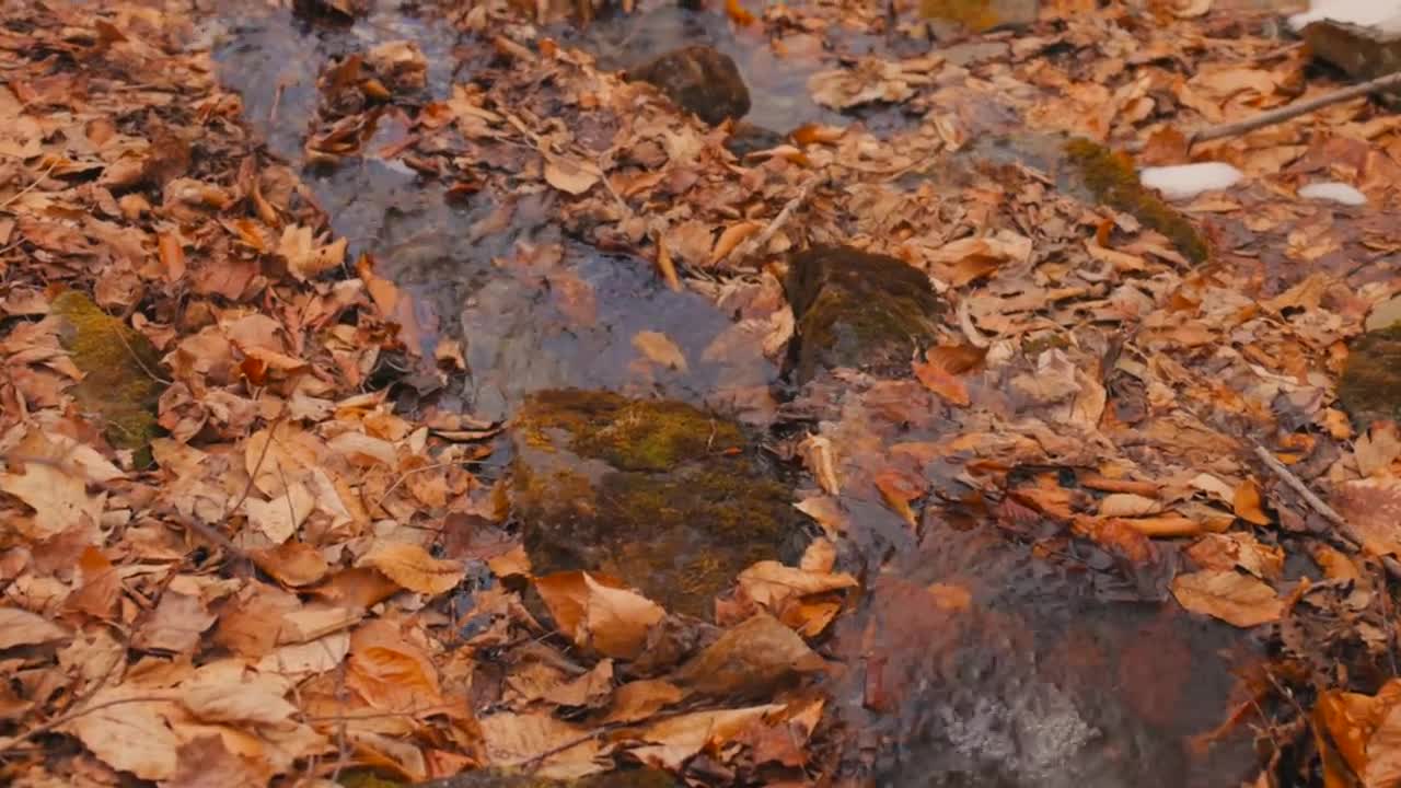 Peaceful Spring Moments in the Berkshire Mountains-17